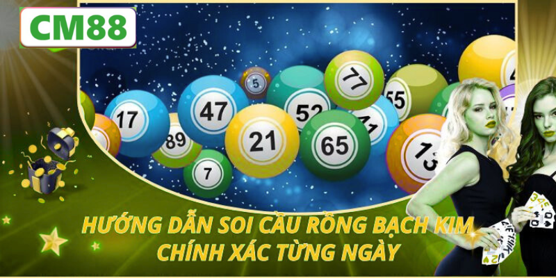 Rồng bạch kim là gì